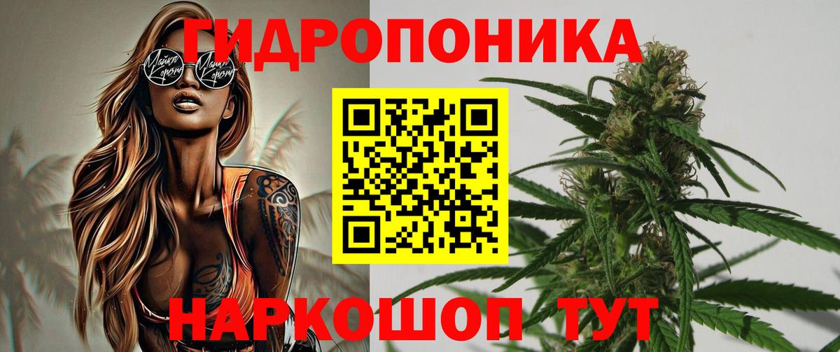 Шишки марихуана план  Марихуана гибрид  Вход с VPN  МАРИХУАНА марихуана  Казань  МАРИХУАНА THC 21% 